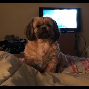 Meet your Posher, Melissa